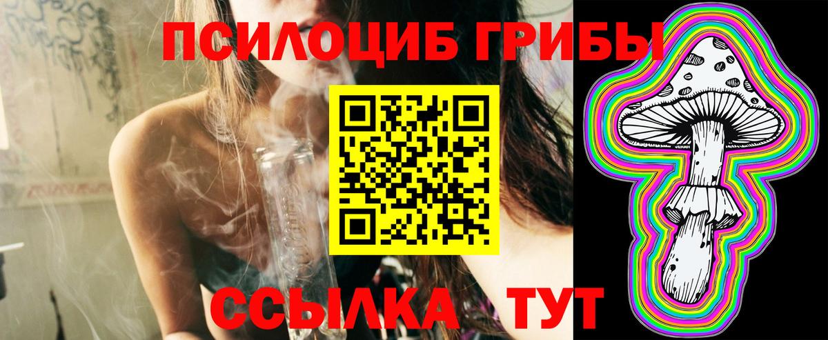 Галлюциногенные грибы MAGIC MUSHROOMS Будённовск