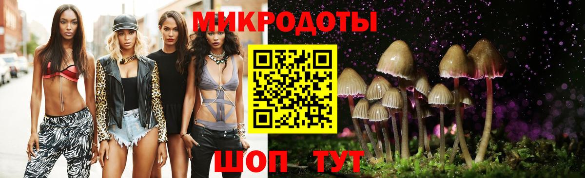 Псилоцибиновые грибы GOLDEN TEACHER  Псилоцибиновые грибы Psilocybine cubensis  Будённовск  Вход с VPN 