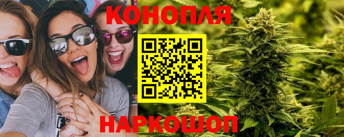 Каннабис планчик Будённовск